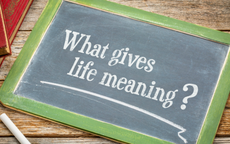 Description_of_image_used_in_spirituality_research_review_board_asking_what_gives_life_meaning