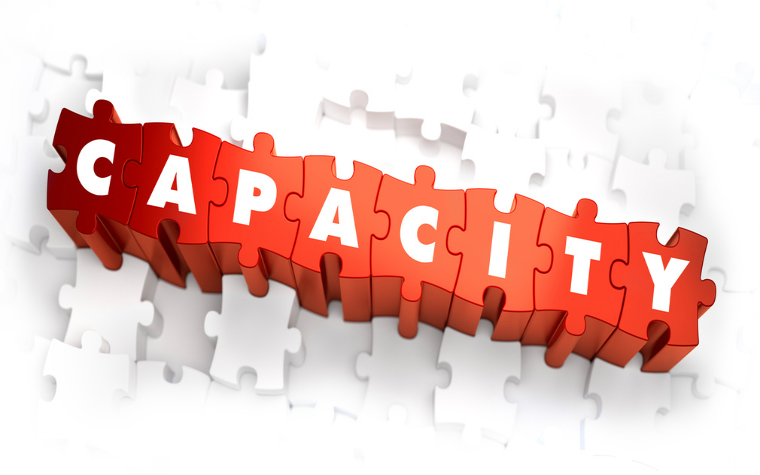 description_of_image_used_in_assessing_capacity_guide_capacity_jigsaw
